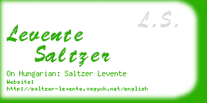 levente saltzer business card